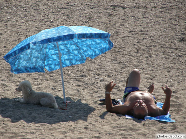 photo d'Homme et son chien sur la plage : c'est le chien qui profite du parasol !