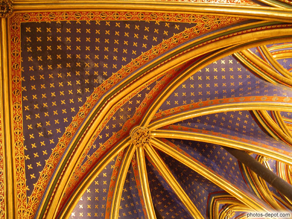 photo de champ de fleurs de lys d'or sur fond d'azur pour les voutes de la chapelle basse