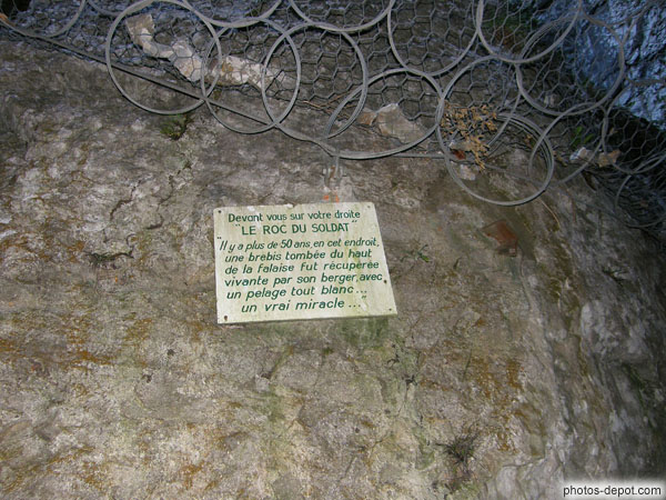 photo de roc du soldat : une brebie tombée du haut de la falaise retrouvée vivante avec un pelage blanc... un vrai miracle
