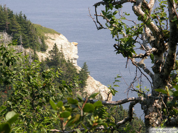 photo de Cap Gaspé