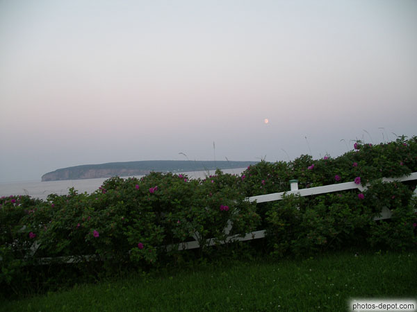 photo de lune à la tombée de la nuit au dessus de l'Ile bonaventure