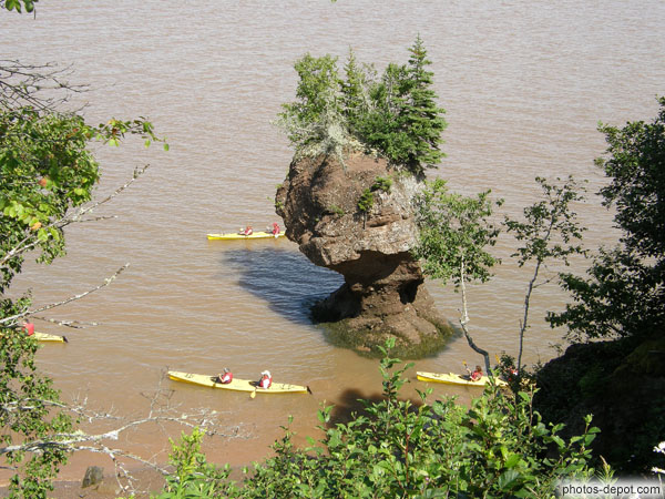 photo de Rocher surmonté d'arbres en pot de fleur à Fundy ou la marée avoisine les 15 mètres de haut