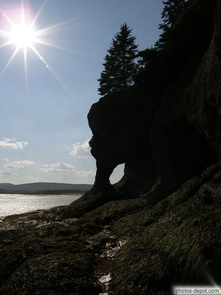 photo de sculptures de roche surmontée d'un sapin