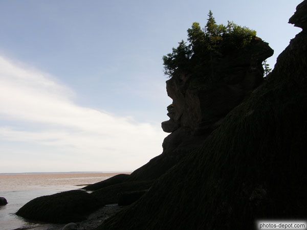 photo de surprenants rochers de Hopewell Rocks