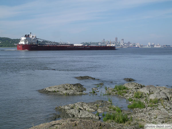 photo de Cargo Canada Steam Lines sur le fleuve St Laurent devant la ville de Québec