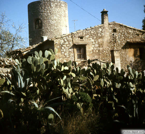 photo de champ de cactus devant maison de pierre à tour ronde