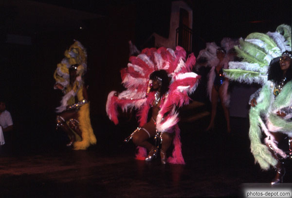 photo de spectacle femmes en costumes à plumes