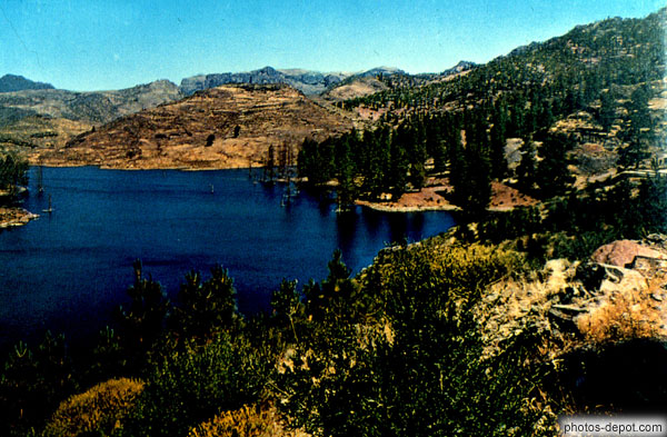 photo de lac de montagne et forêt de pins