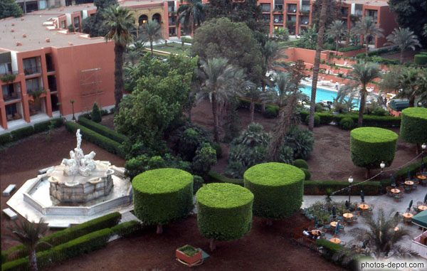 Buis taillés en cylindres