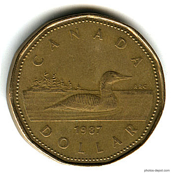 photo de piece d'1 $ canadien