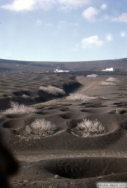 photo de paysage désertique