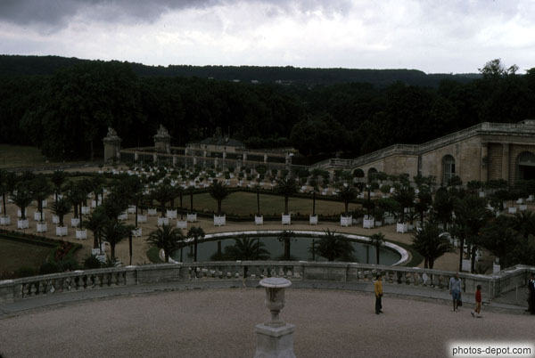 photo de palmiers en pots dans les jardins du palais de Versailles