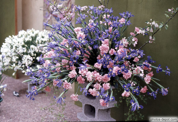 photo de bouquet de fleurs bleues et roses