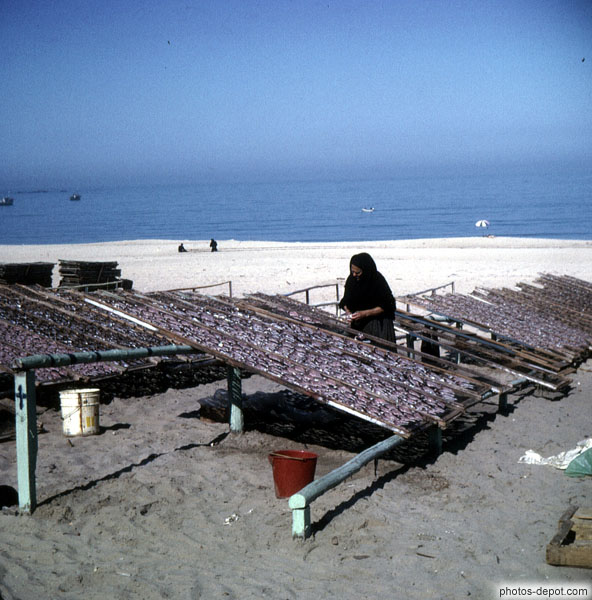 photo de femme faisant sècher son poisson au soleil sur la plage