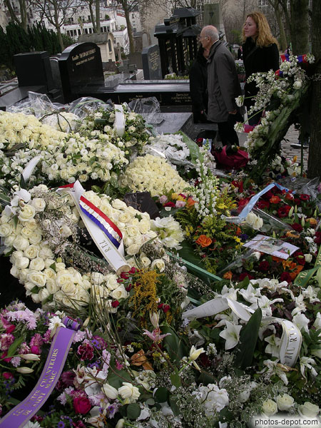 photo de champ de fleurs sur la tombe d'Henri Salvador