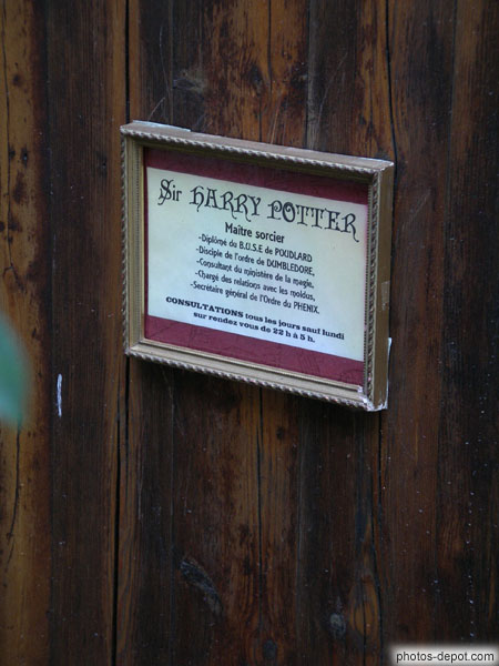 photo de Sir Harry Potter, maître sorcier, diplômé de Poudlard, disciple de l'ordre de Dumbledore...