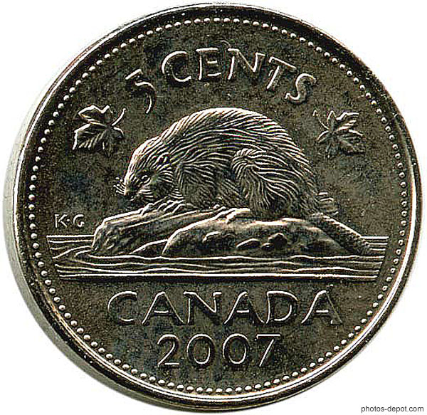 photo de piece-5-cts-castor Canada