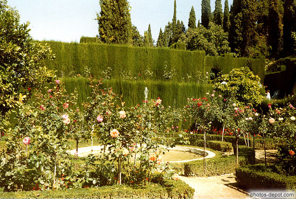 photo de jardins de roses, l'Alhambra