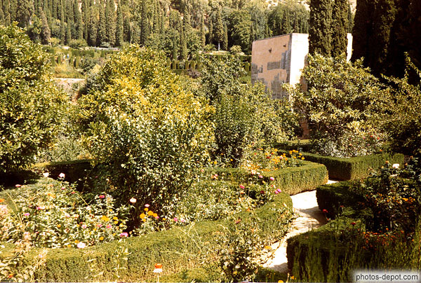 roses et buis taill�s dans l'Alhambra