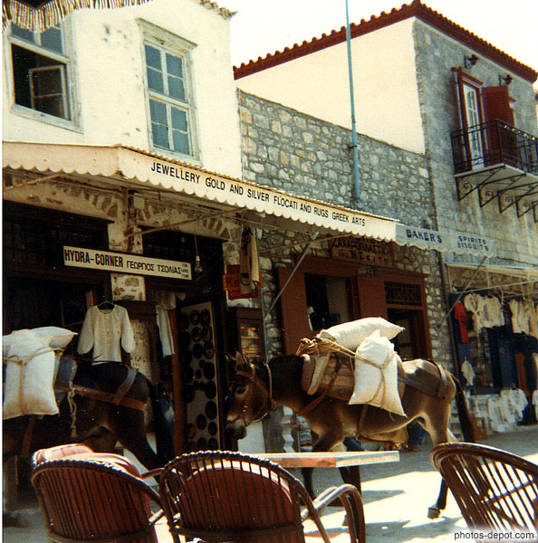 photo de ânes chargés de sacs devant magasin