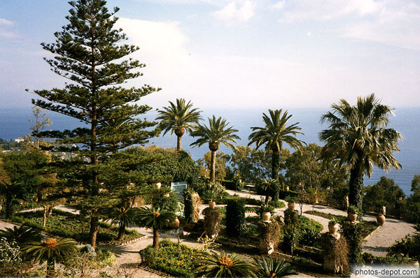photo de jardins de palmiers dominant la baie