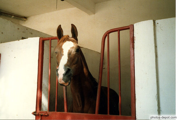 photo d'écuries royales de 12000 chevaux