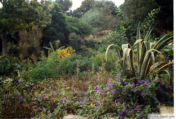 photo de Jardins fleuris