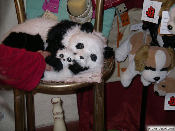 photo de peluches dans magasin