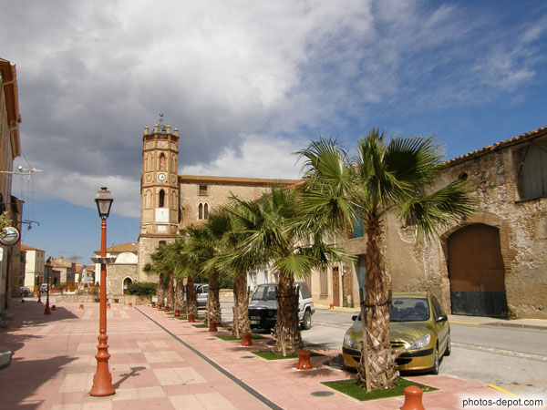 photo d'allée de palmiers et clocher