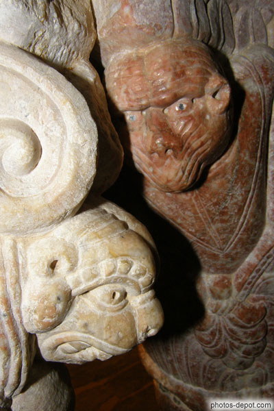 photo de singes, bestiaire médiéval