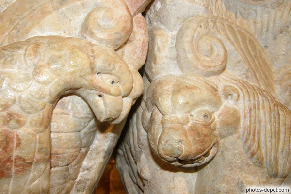 photo de têtes d'aigles et lions, bestiaire médiéval