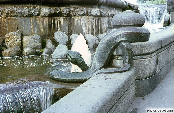 photo de serpent sur bord de la fontaine