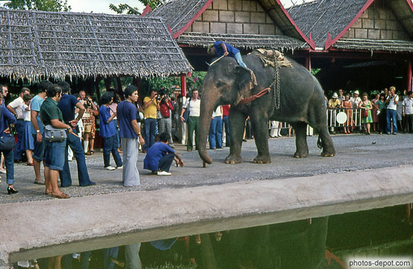 photo de cornac sur éléphant sur le quai