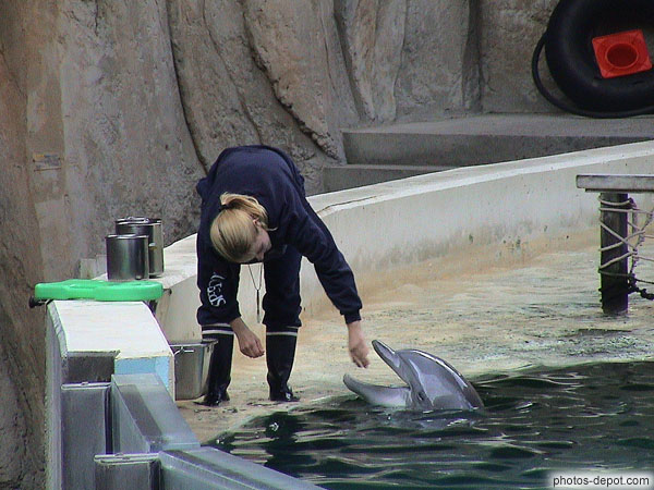photo de femme nourrit le dauphin