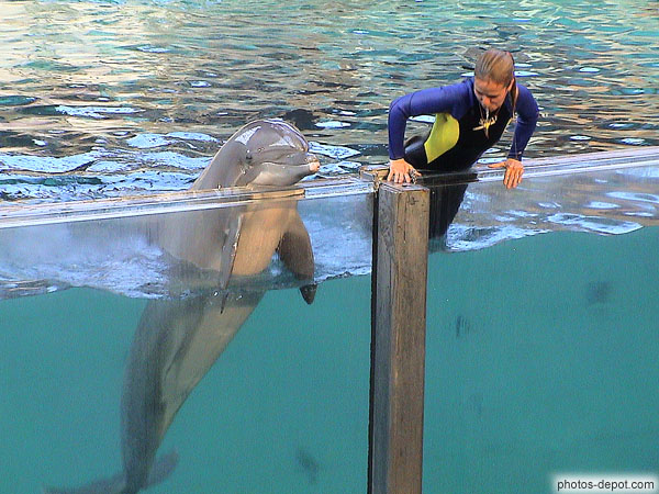 photo de dauphin et plongeuse saluent la foule