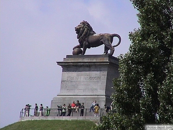 photo de lion de Waterloo