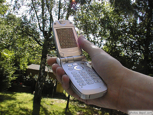 photo de téléphone dans le jardin