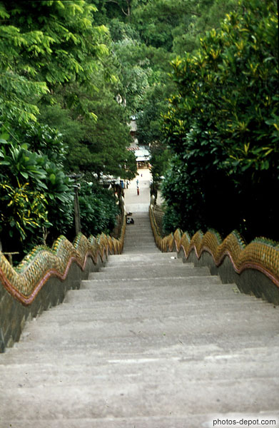 photo de grand escalier serpent
