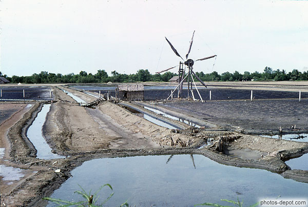 photo d'irrigation des canaux de cultures