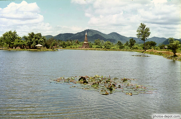 photo de temple devant étang aux nénuphars