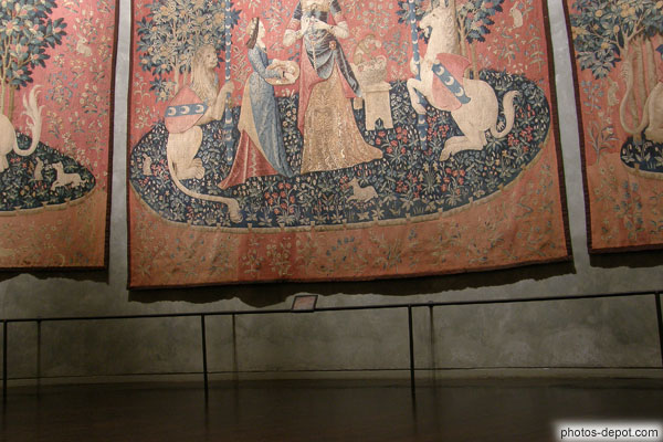 photo de tapisseries de la dame à la Licorne, détail