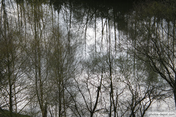 photo de reflets des arbres dans l'eau