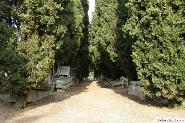 photo d'allée centrale du cimetière mérovingien
