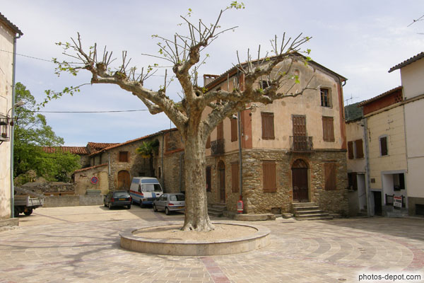 photo de platane trônant sur la place du village