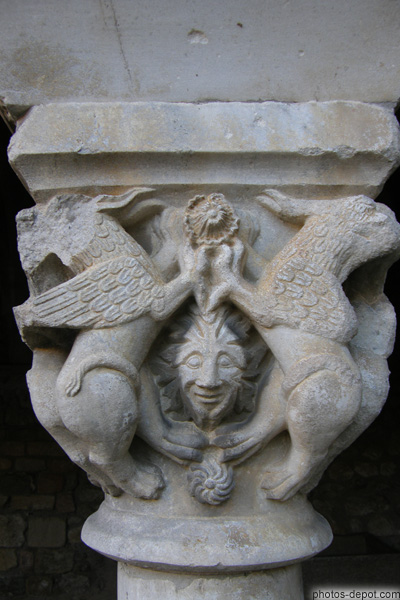 photo de griffons sur chapiteau du cloître