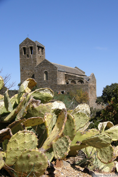 photo d'Abbaye derrière les cactus