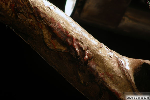 photo de Devot Christ, détail des veines et du sang sur le bras