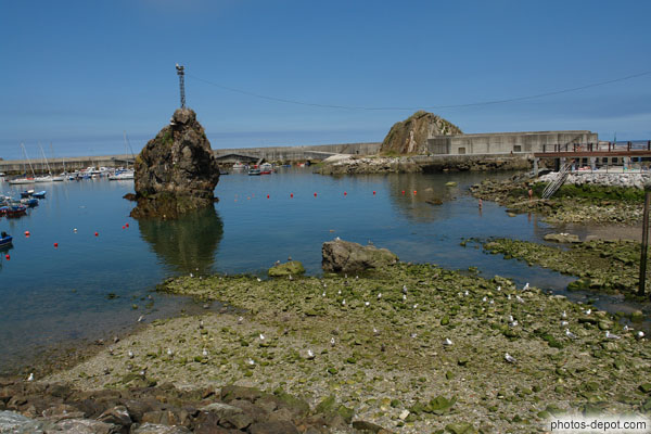 photo de rocher dans le port de Cudillero à marée basse