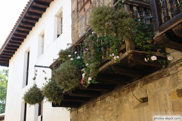 photo de balcon aux plantes débordantes