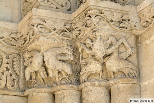 photo d'oiseaux, monstres et hommes combattant sur chapiteaux du portail